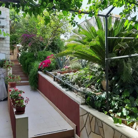Tania Apartment *