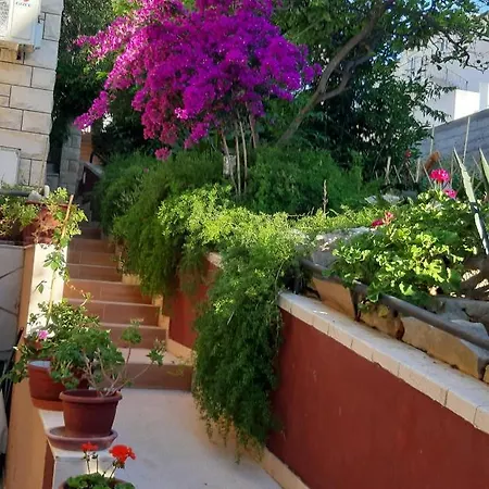 Tania Hvar Town