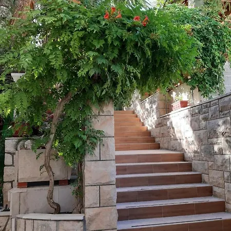 Tania * Hvar Town